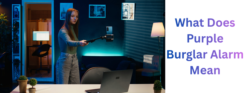 Purple Burglar Alarm